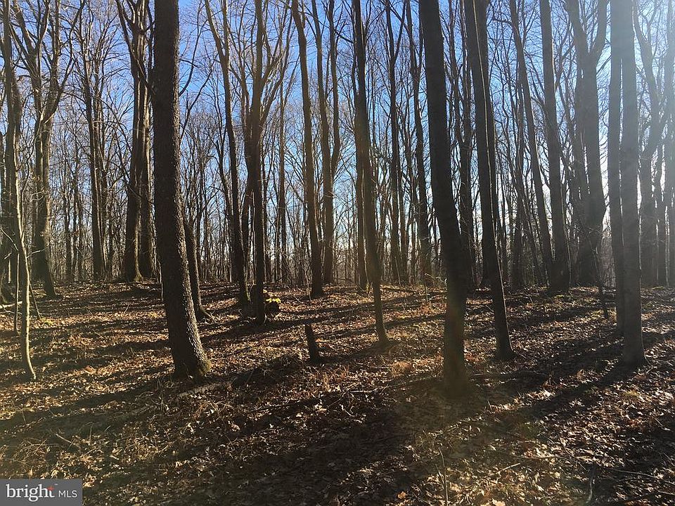 2nd image of Palmer Rd