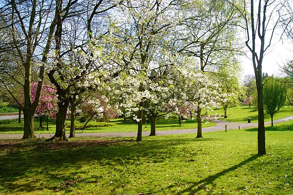 Rented by Voro NYC | media 13