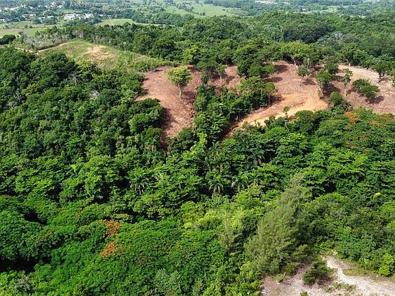 4th image of Palmar Novoa