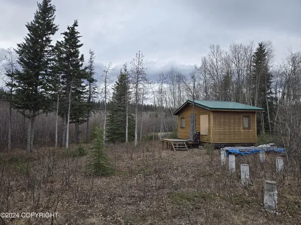L13 Tazlina Loop Rd, Copper Center, AK 99573