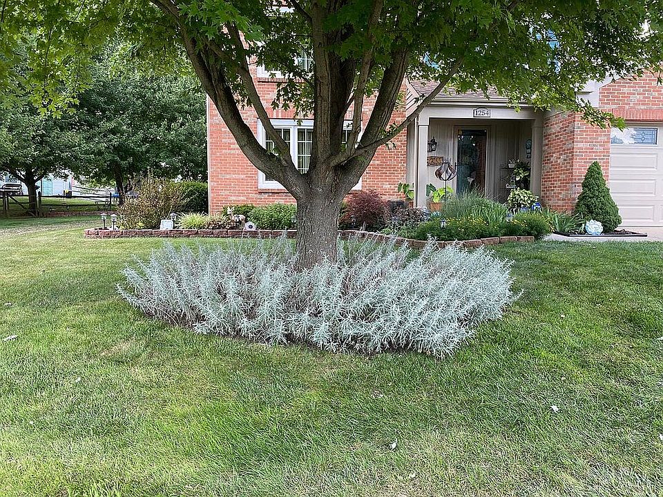 2nd image of 1254 Timber Ridge Ct