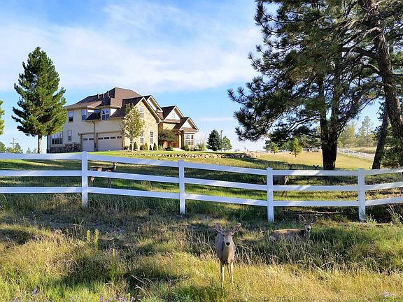 Driveway and house view with wildlife.  