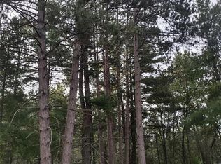 Lynx Rd, Frederic, WI 54837