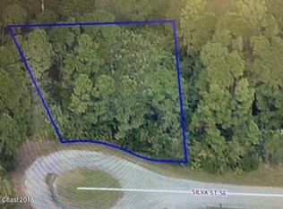 1355 Silva St SE, Palm Bay, FL 32909