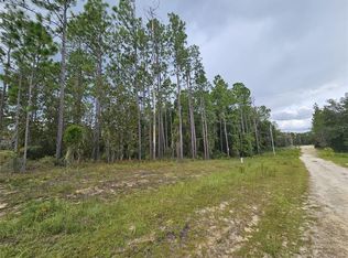 11730 NE 101st Ter LOT 3, Archer, FL 32618