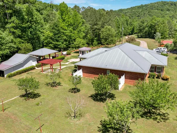 466 Seven Springs Rd, Wellington, AL 36279