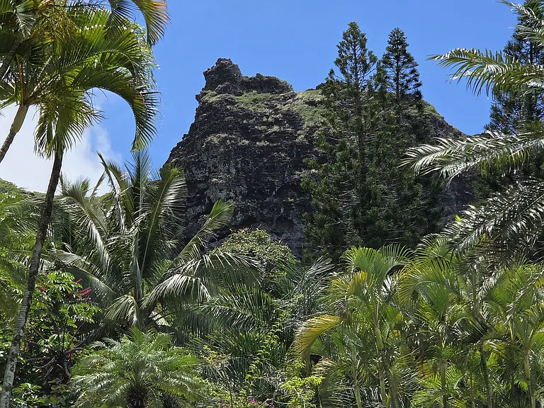 Lush Grounds with Crouching Lion View