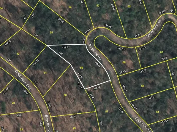 Sycamore St, Sevierville, TN 37876