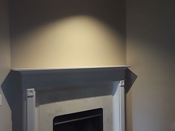 Wood burning fireplace