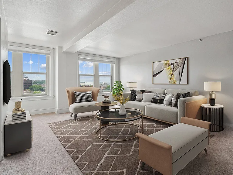 Cozy Plush Carpeting