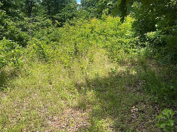 2nd image of 1 County Road 750