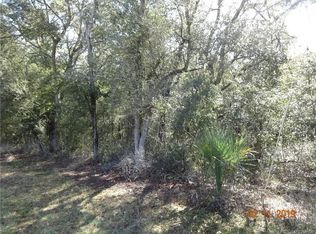 3149 W Grapevine Ct, Dunnellon, FL 34433