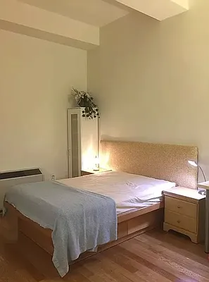 Rented by NY Living Solutions | media 4