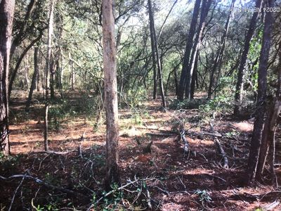 116 N CAROLINA Drive, Satsuma, FL, 32189