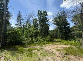 PARCEL 2 S Grove St, Baldwin, MI 49304