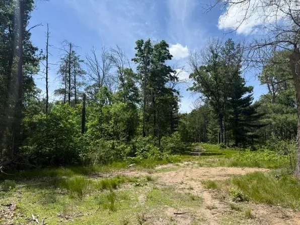 PARCEL 2 S Grove St, Baldwin, MI 49304
