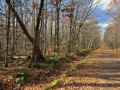 W1707 Tamarack Rd, Brantwood, WI, 54513