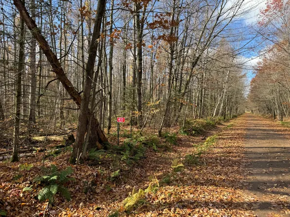 W1707 Tamarack Rd, Brantwood, WI 54513