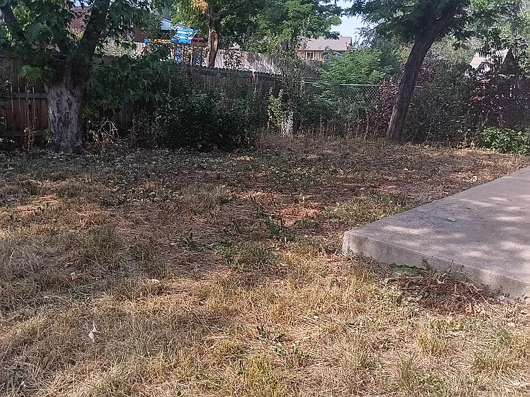 Large Fenced Backyard