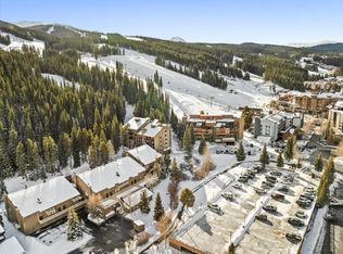 108 Guller Rd #B-4, Frisco, CO 80443