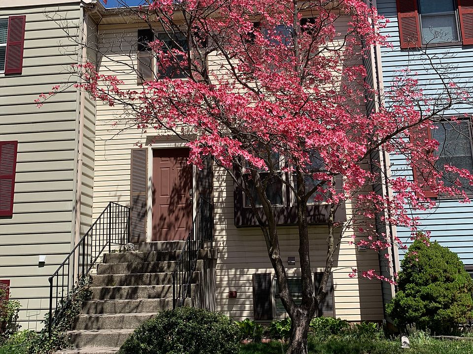 Front, 2nd house to the end.