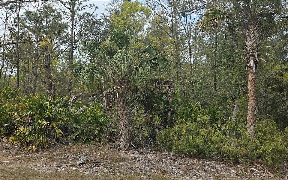 1st image of 10889 W Kerry Ln