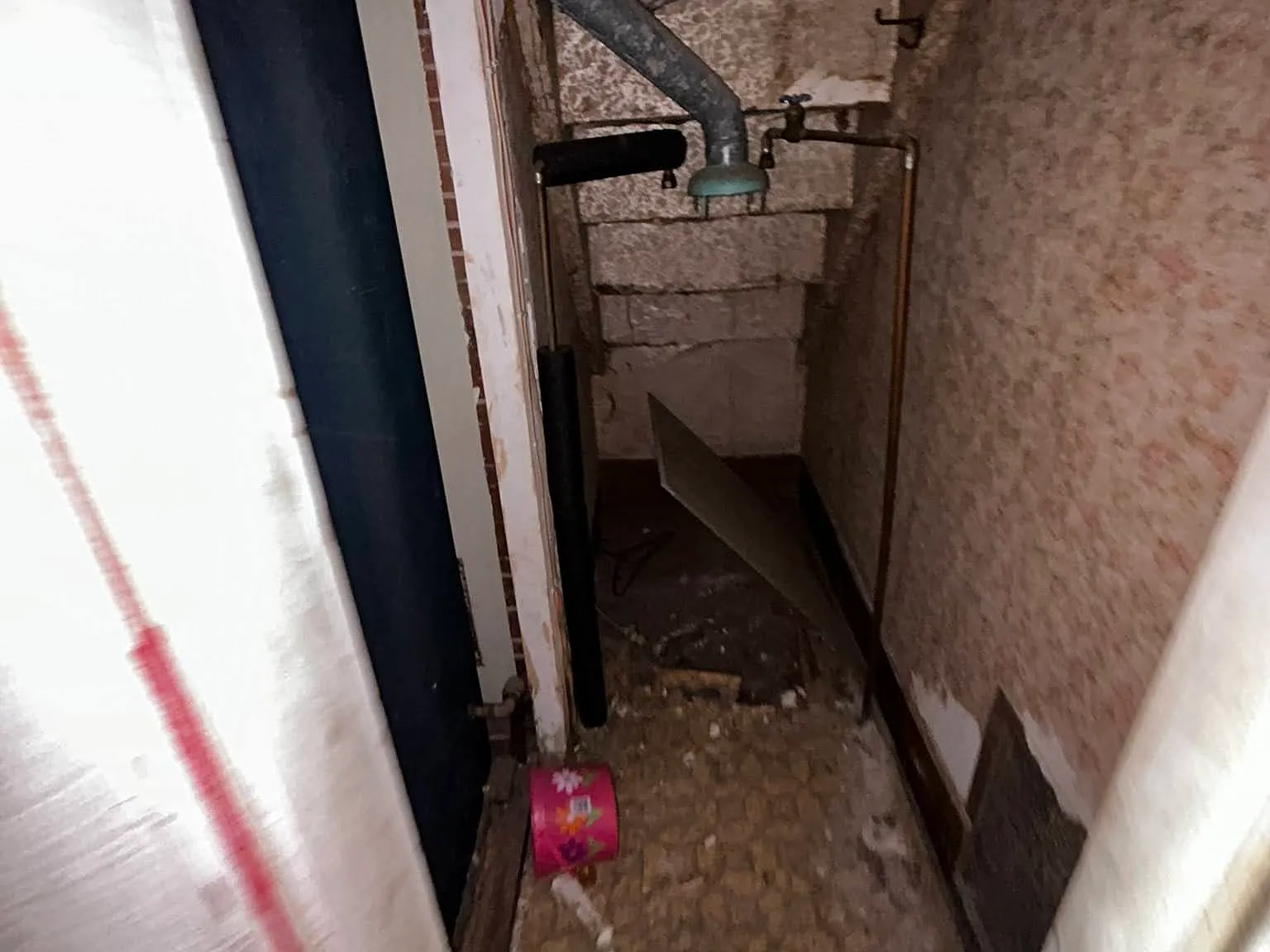 3 bed, 1000 sqft, $725 — Photo 3