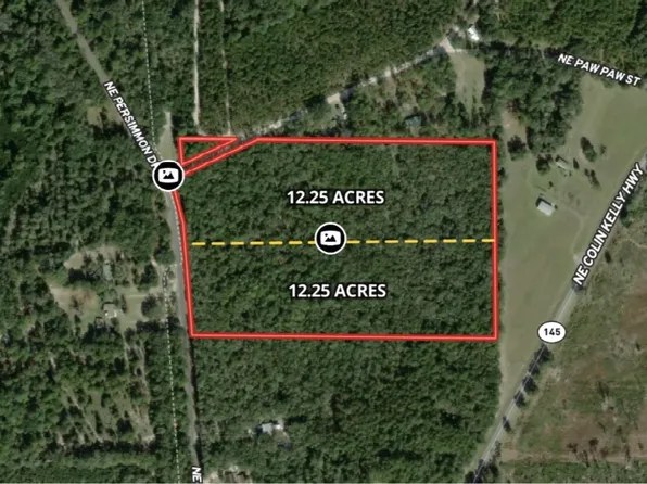 Vac Ne Persimmon Dr, Pinetta, FL 32350