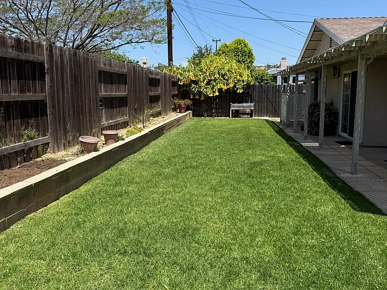 891 Rosewood Ave — Photo 57