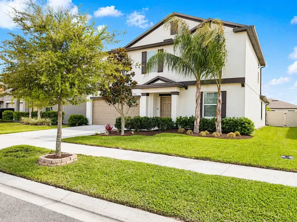 31764 Sun Kettle Loop, Wesley Chapel, FL 33545