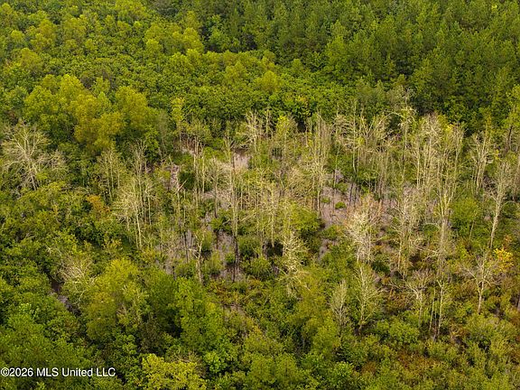 3rd image of Lawrence Hazel Rd