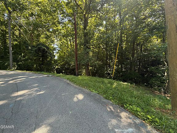 2nd image of LOT 3 Low Gap Rd