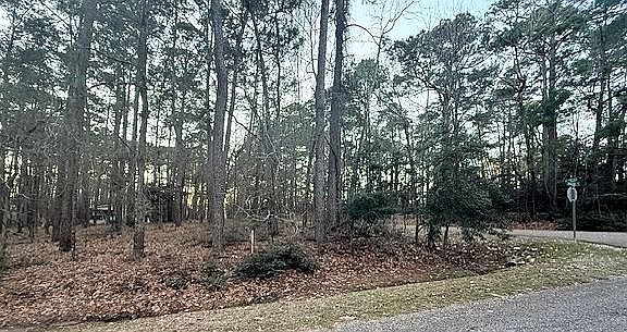 4th image of 220 Altwood Dr Lot 71