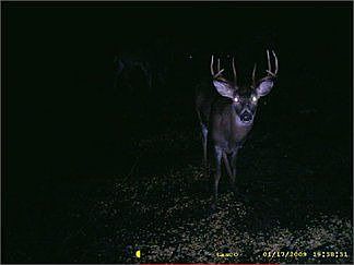 1st image of 8421 E Highway 92