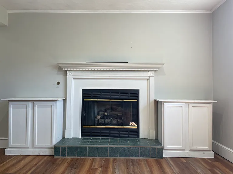 Recreation room & gas logs (downstairs).