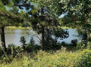 19399 Desna Dr, Porter, TX 77365