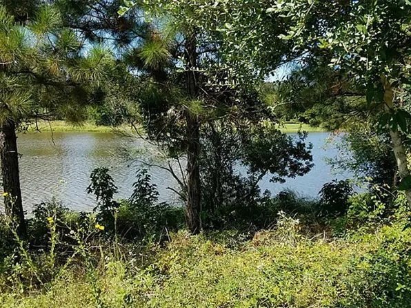 19399 Desna Dr, Porter, TX 77365