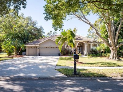 3194 Meadow View Ln, Palm Harbor, FL, 34683