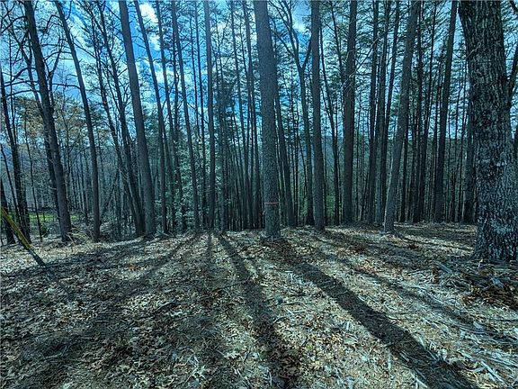 5th image of 30 Eagle Ridge Rd #30-31