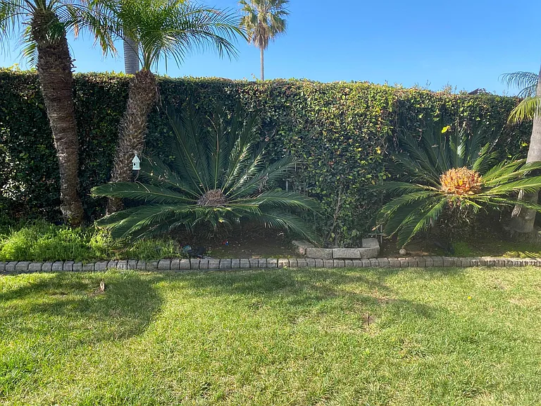 6919 Tradewinds Dr — Photo 33