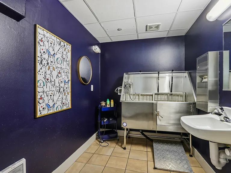Dog Wash Station