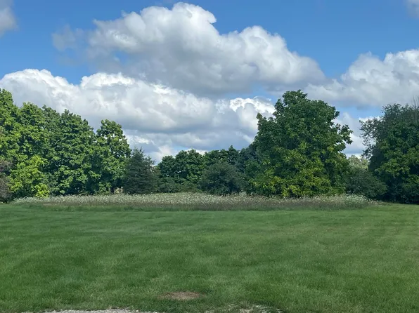 19744 Deerfield Ct, Chelsea, MI 48118