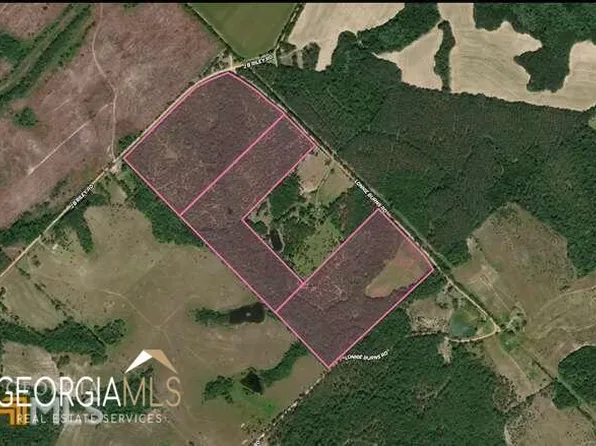 0 Lonnie Burns Rd, Milan, GA 31060