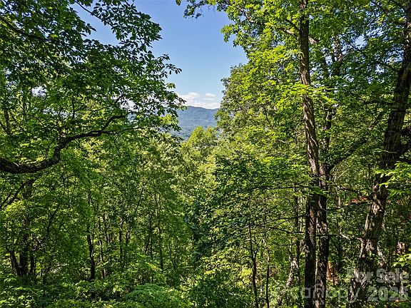 5th image of 1392 Mount Chalet Rd