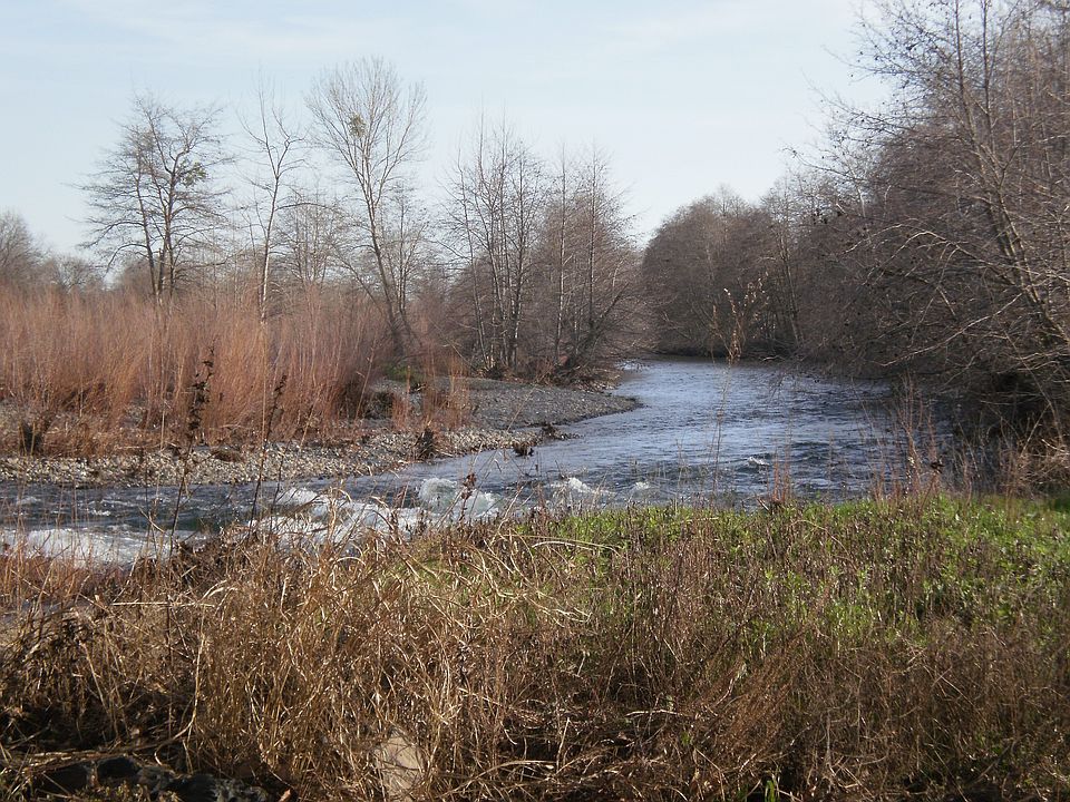 Butte Creek (backyard)
