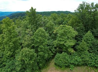 W Pheasant Chase, Ararat, VA 24053