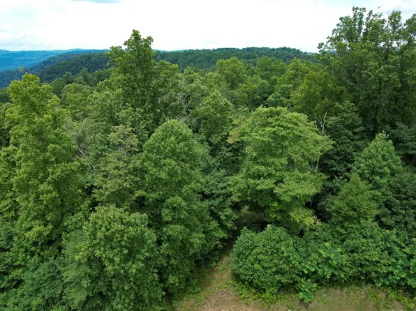 W Pheasant Chase, Ararat, VA 24053