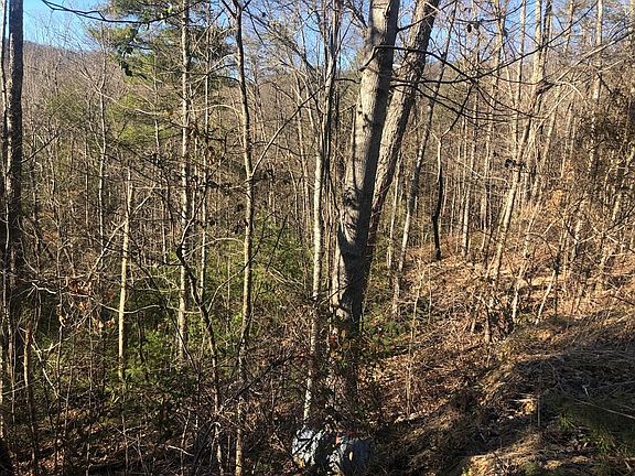 5th image of 53 Butternut Ln Lot 53