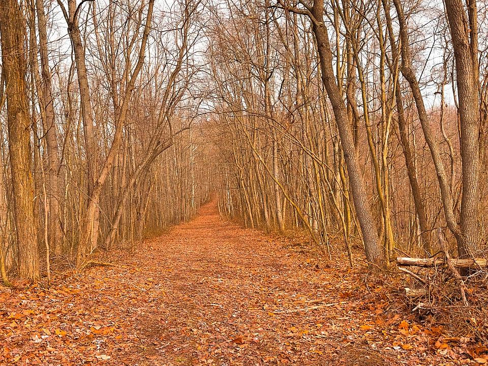 1st image of 0 Gibson Hollow Rd