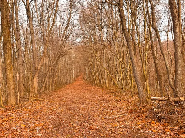 0 Gibson Hollow Rd, Londonderry, OH 45647